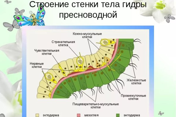 Как вывести деньги с кракена маркетплейс