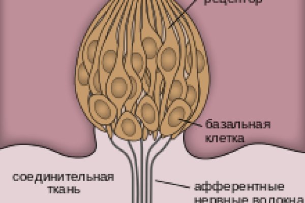 Оригинальная ссылка на кракен