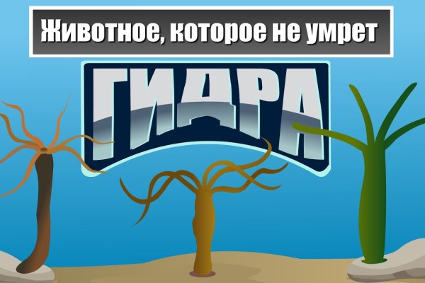 Кракен нарка шоп