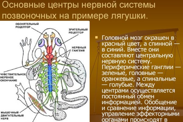 Кракен войти